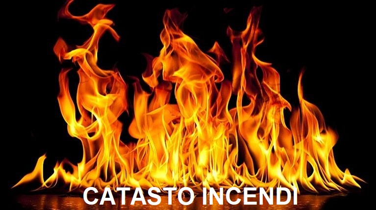 Catasto delle Aree percorse dal fuoco (ART. 10 COMMA 2 DELLA LEGGE 10 NOVEMBRE 2000, N. 353 E SS. MM. E II.). Aggiornamento annuale ANNO 2023. ADOZIONE 